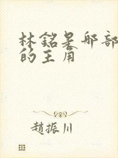 林铭是哪部小说的主角封面