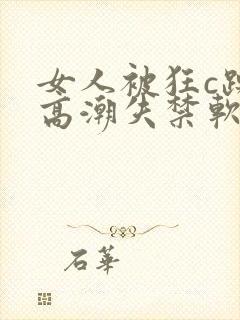 女人被狂c躁到高潮失禁软件