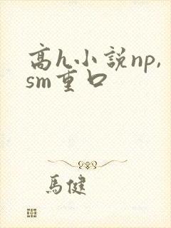 高h小说np,sm重口