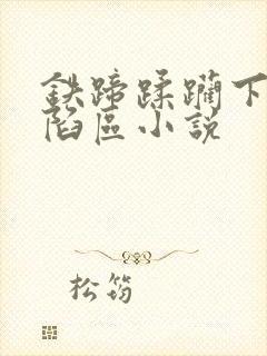 铁蹄蹂躏下的沦陷区小说