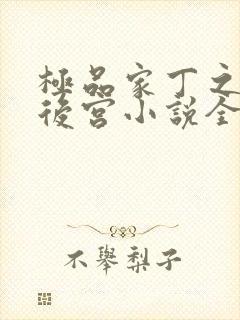 极品家丁之风流后宫小说全文阅读