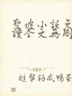 圣墟小说免费阅读全文无删减封面