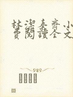 林洁秦齐小说免费阅读全文最新章节