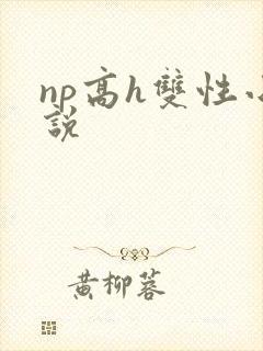 np高h双性小说
