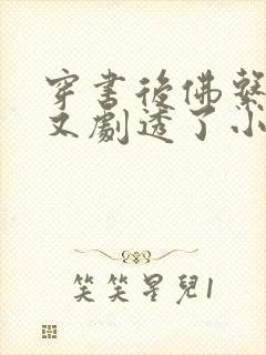 穿书后佛系贵妃又剧透了小说封面