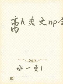 高h爽文np全肉