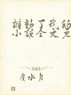 谁动了我的老婆小说全文免费阅读