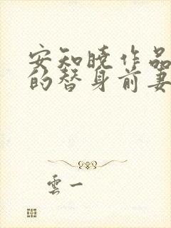 安知晓作品总裁的替身前妻