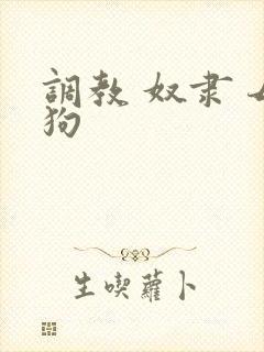 调教 奴隶 母狗