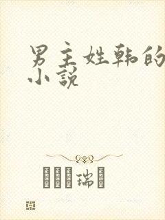 男主姓韩的言情小说