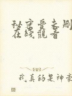 秘密爱未删减版在线观看封面