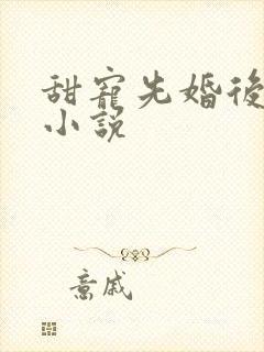 甜宠先婚后爱的小说