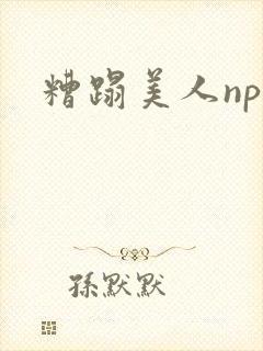 糟蹋美人np封面