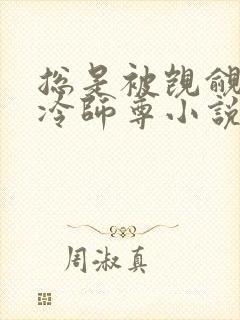 总是被觊觎的清冷师尊小说封面