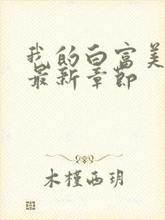 我的白富美老婆最新章节封面