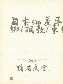 日本sm羞辱捆绑/调教/束缚