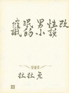催眠男性改变常识的小说封面