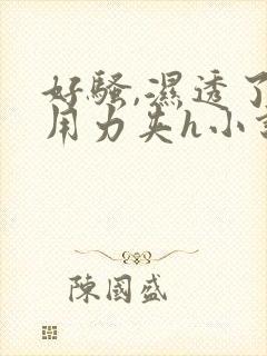 好骚,湿透了,用力夹h小说封面