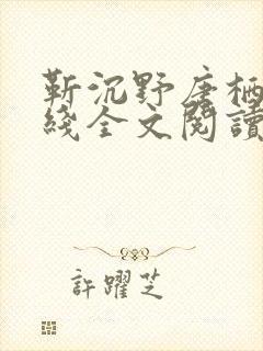 靳沉野唐栖雾在线全文阅读