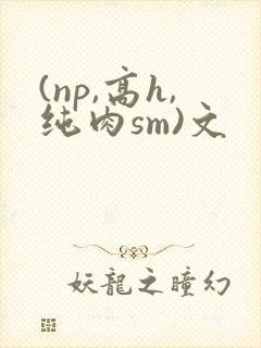 (np,高h,纯肉sm)文