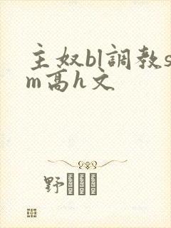 主奴bl调教sm高h文封面