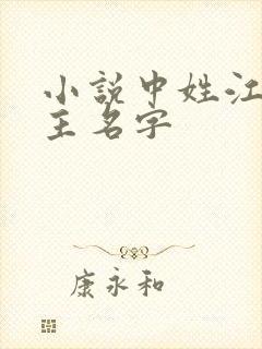 小说中姓江的女主名字封面