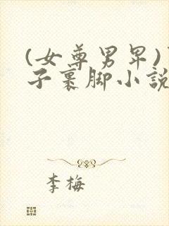 (女尊男卑)男子裹脚小说封面