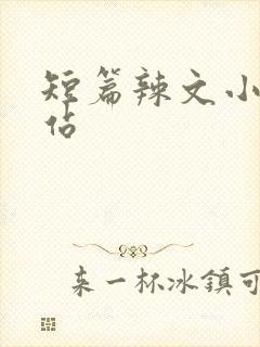 短篇辣文小说网站