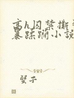 高h囚禁撕裂粗暴蹂躏小说双男主