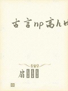 古言np高h肉