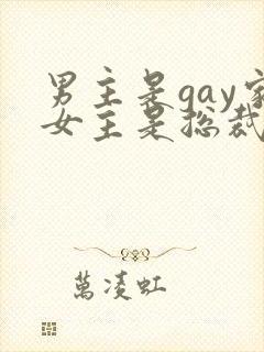 男主是gay家女主是总裁的小说推荐