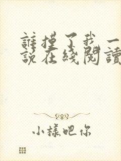 谁摸了我一下小说在线阅读