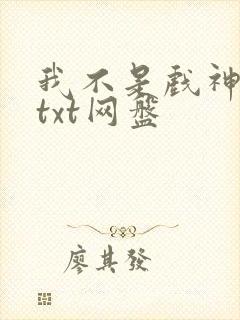 我不是戏神小说txt网盘