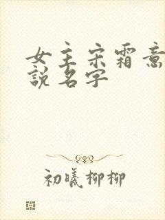 女主宋霜意的小说名字