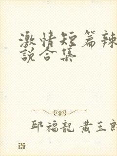 激情短篇辣文小说合集封面