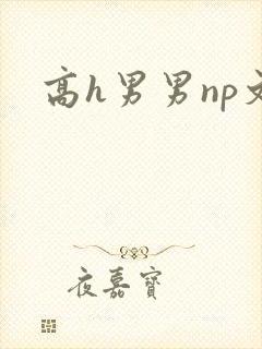 高h男男np文