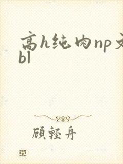 高h纯肉np文bl