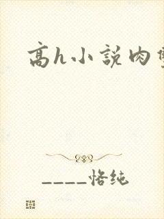 高h小说肉双性
