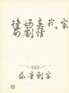 后妈来我家大结局剧情封面