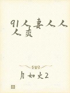 91人妻人人人人爽