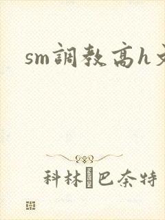 sm调教高h文