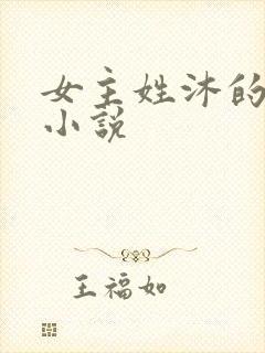 女主姓沐的现代小说