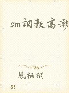 sm调教高潮h封面