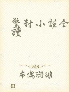 惊封小说全文阅读