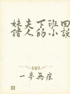 妹夫下班回来认错人的小说免费阅读