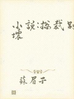 小说:总裁别太坏