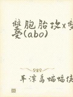 双胞胎攻x双性受(abo)