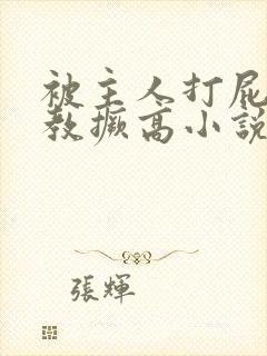 被主人打屁股调教撅高小说封面