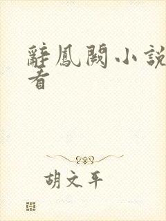 辞凤阙小说免费看