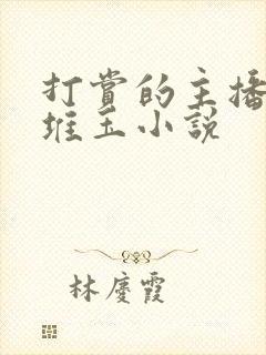 打赏的主播是哥堆玉小说